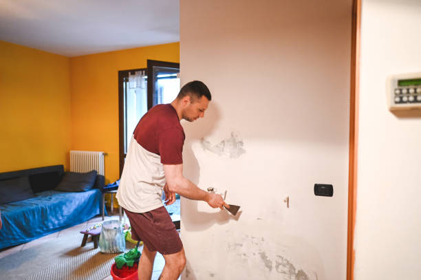 Best Fast Mold Removal  in Rock Valley, IA